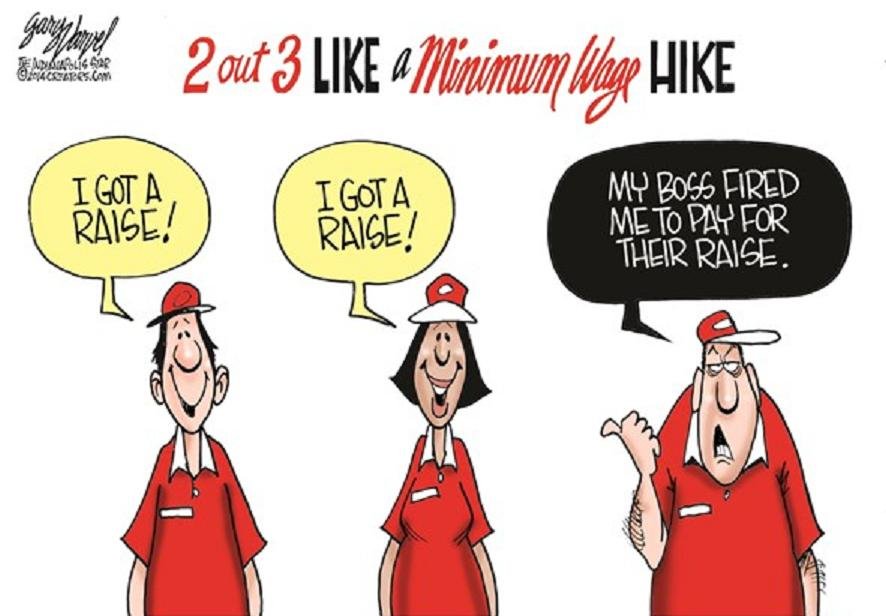 1 Out Of 3 Like The Minimum Wage Cartoon