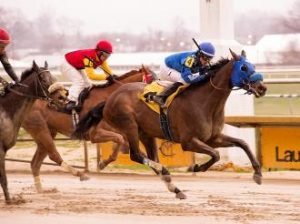 Horses Racing